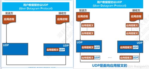 计算机网络平台开发与建设中的运输层解析