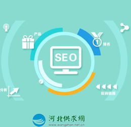 石家庄网络生态构建 从网站建设到平台开发的全方位服务