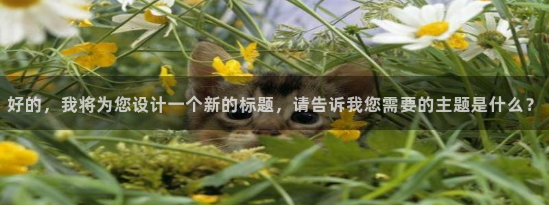 金桔影视在线观看：好的，我将为您设计一个新的标题，请告诉我您需要的主题是什么？