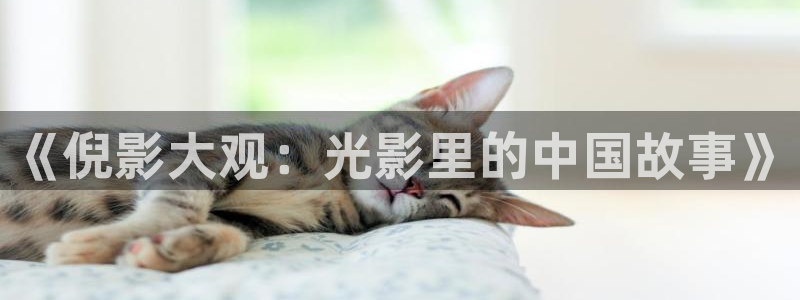 金桔视频：《倪影大观：光影里的中国故事》