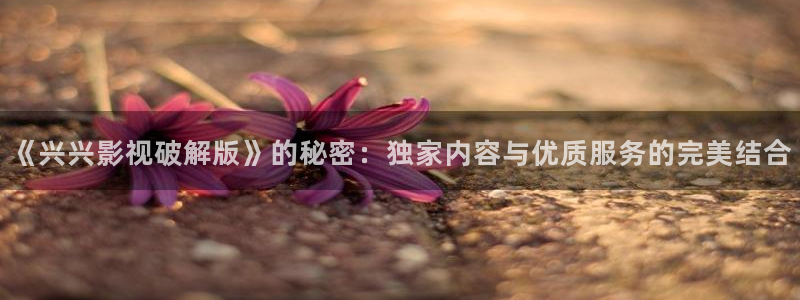 金桔 影视：《兴兴影视破解版》的秘密：独家内容与优质服务的完美结合