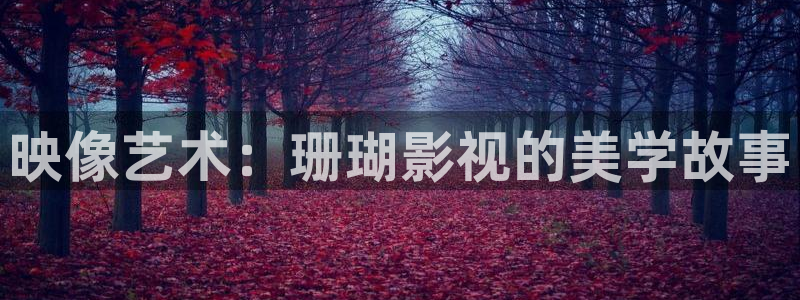 金桔 影视：映像艺术：珊瑚影视的美学故事