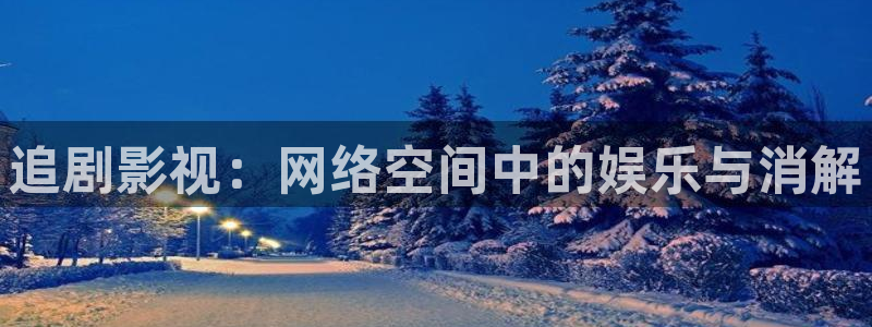 金桔电影：追剧影视：网络空间中的娱乐与消解