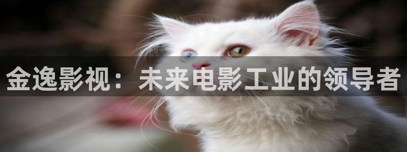 金桔利咽清喉片：金逸影视：未来电影工业的领导者
