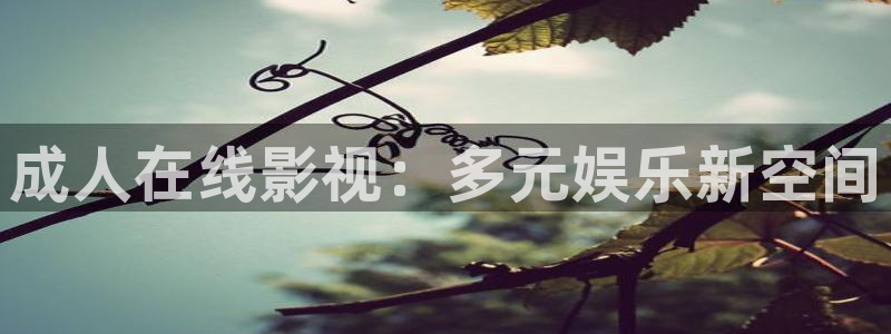 金桔tv：成人在线影视：多元娱乐新空间