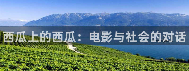 金桔tv：西瓜上的西瓜：电影与社会的对话