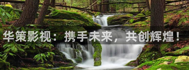 金桔影视app下载：华策影视：携手未来，共创辉煌！