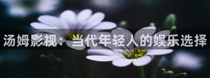 金桔视频：汤姆影视：当代年轻人的娱乐选择