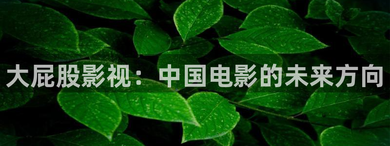 av金桔影院：大屁股影视：中国电影的未来方向