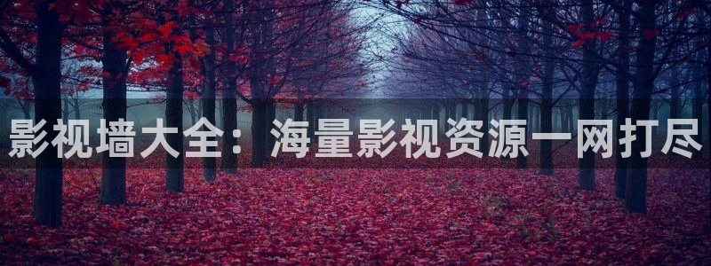 金桔柠檬做法视频：影视墙大全：海量影视资源一网打尽