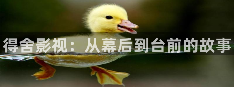 金桔电影：得舍影视：从幕后到台前的故事