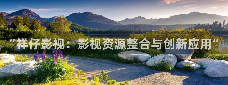 金桔电影网：“祥仔影视：影视资源整合与创新应用”